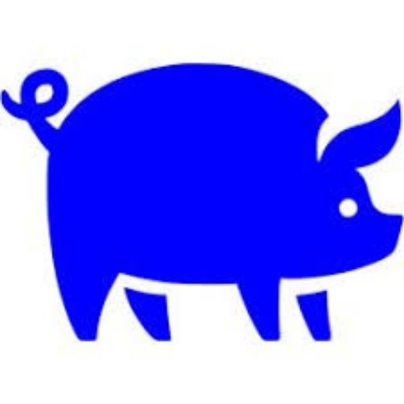 bluepiggy23